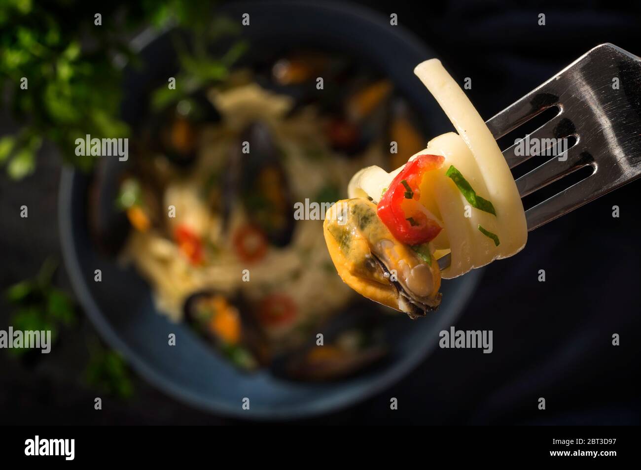 Gedämpfte Muscheln in Linguine Pasta in Weißweinsauce mit Knoblauch, Petersilie und rotem Chili in einem blauen Teller auf einem stimmungsvollen dunkelblauen Hintergrund. Selektiv f Stockfoto