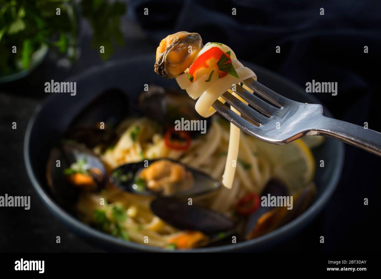 Gedämpfte Muscheln in Linguine Pasta in Weißweinsauce mit Knoblauch, Petersilie und rotem Chili in einem blauen Teller auf einem stimmungsvollen dunkelblauen Hintergrund. Selektiv f Stockfoto