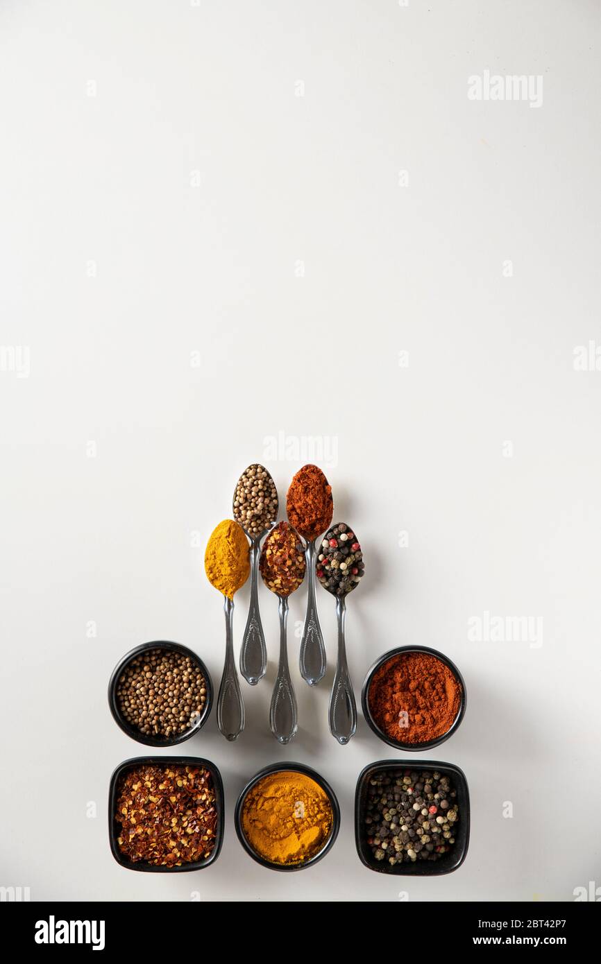 Curry, Red Dry Chilis, Paprika, Mischung aus Paprika und Koriander in kleinen Löffeln und in Schüsseln Stockfoto