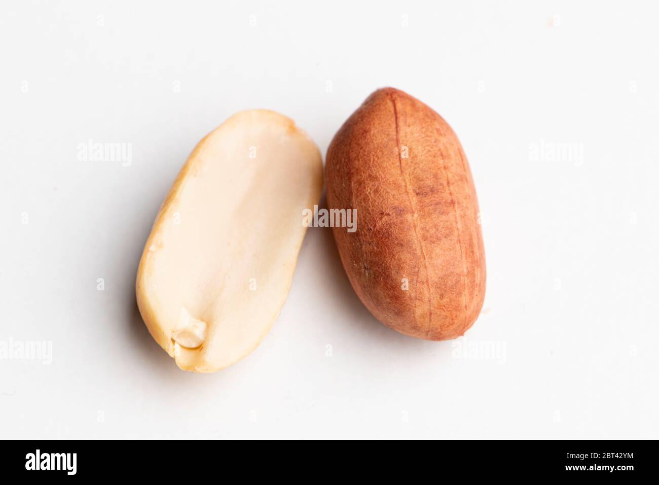Eine halbe Erdnuss und eine Erdnuss isoliert auf weißem Hintergrund Stockfoto