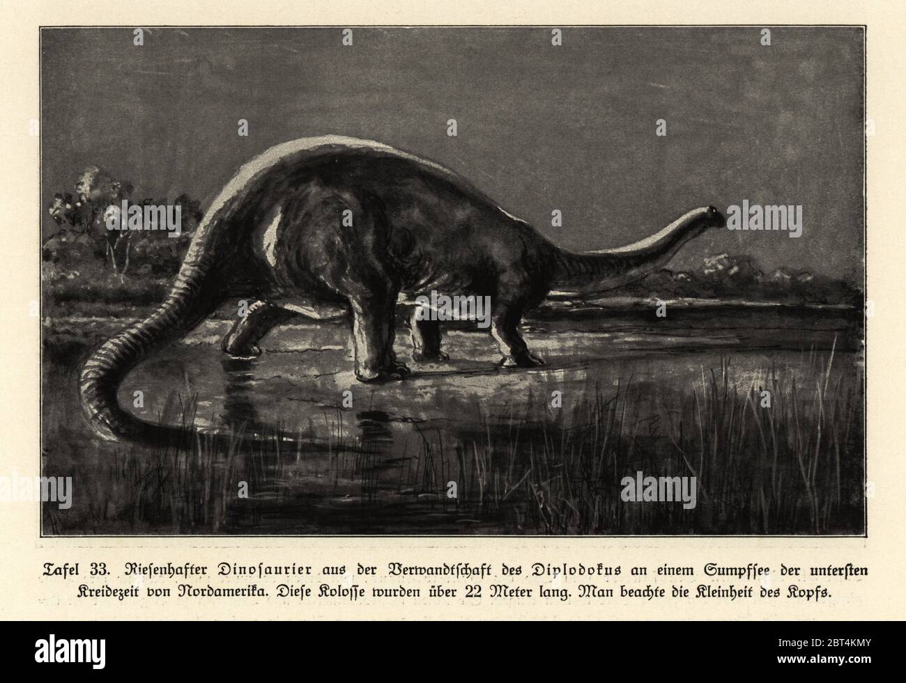 Dinosaur swamp Fotos und Bildmaterial in hoher Auflösung Alamy