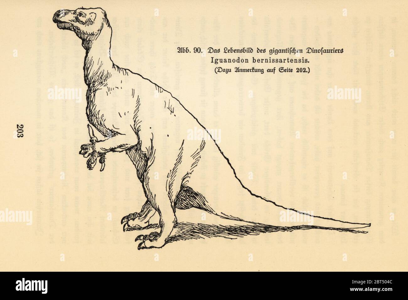 Rekonstruktion eines ausgestorbenen Iguanodon bernissartensis, spätbarremian bis frühem Aptian, frühe Kreidezeit. Illustration aus Wilhelm Bolsches das Leben der Urwelt, Prähistorisches Leben, Georg Dollheimer, Leipzig, 1932. Stockfoto