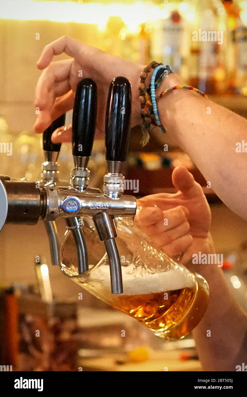 Abzapfen des tschechischen Bieres Radegast Stockfoto