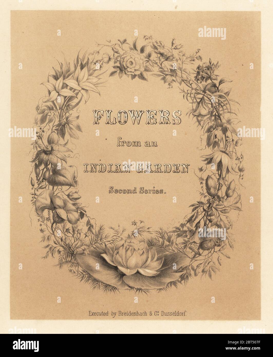 Kalligraphischen Titelblatt mit Kranz aus Blumen. Getönte Lithographie von  Emily Eden € ™ s Blumen aus einer indischen Garten: Zweite Reihe: Hoffnung,  Breidenbach & Co., Düsseldorf, 1860. Eden war ein englischer weibliche