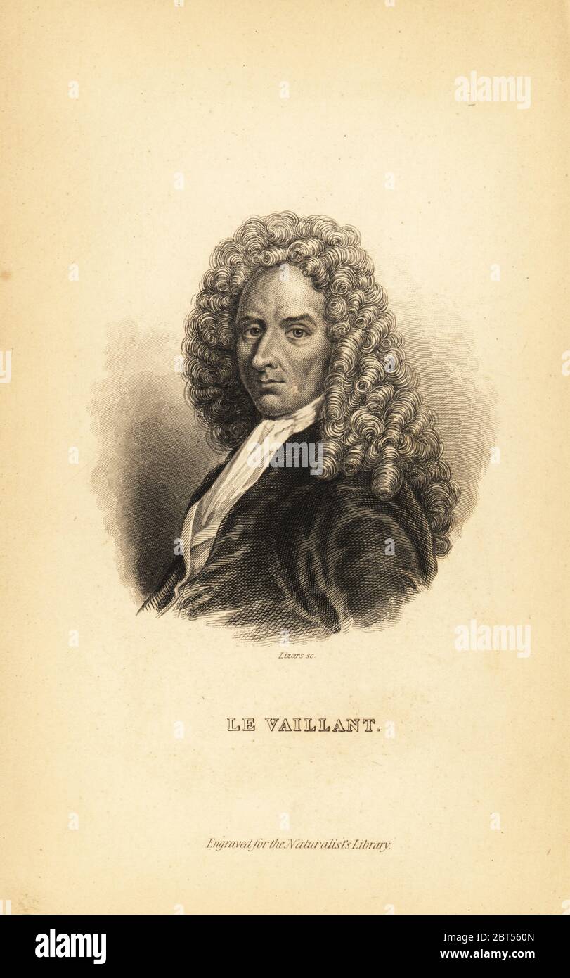 Francois Le Vaillant oder Levaillant, französischer Autor, Explorer, Naturforscher und Ornithologe, 1753-1824. Stahlstich von Lizars nach einem Portrait von Sir William Jardine Der naturforscher Bibliothek, W.H. Lizars, Edinburgh, 1843. Stockfoto