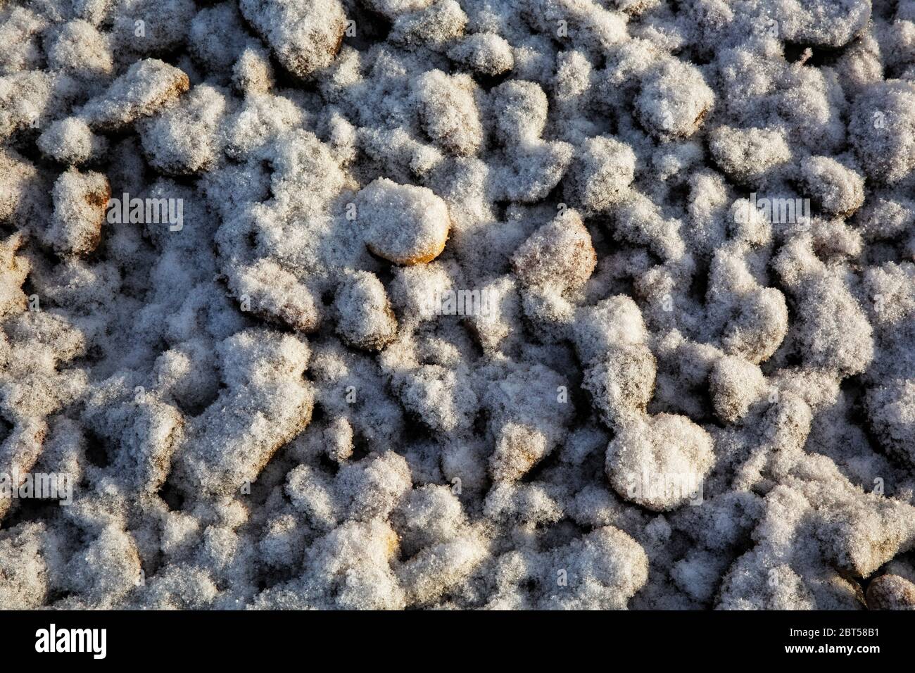 MT00531-00...MONTANA - schneebedeckte Felsen am Ufer des Madison River im Missouri River State Park. Stockfoto