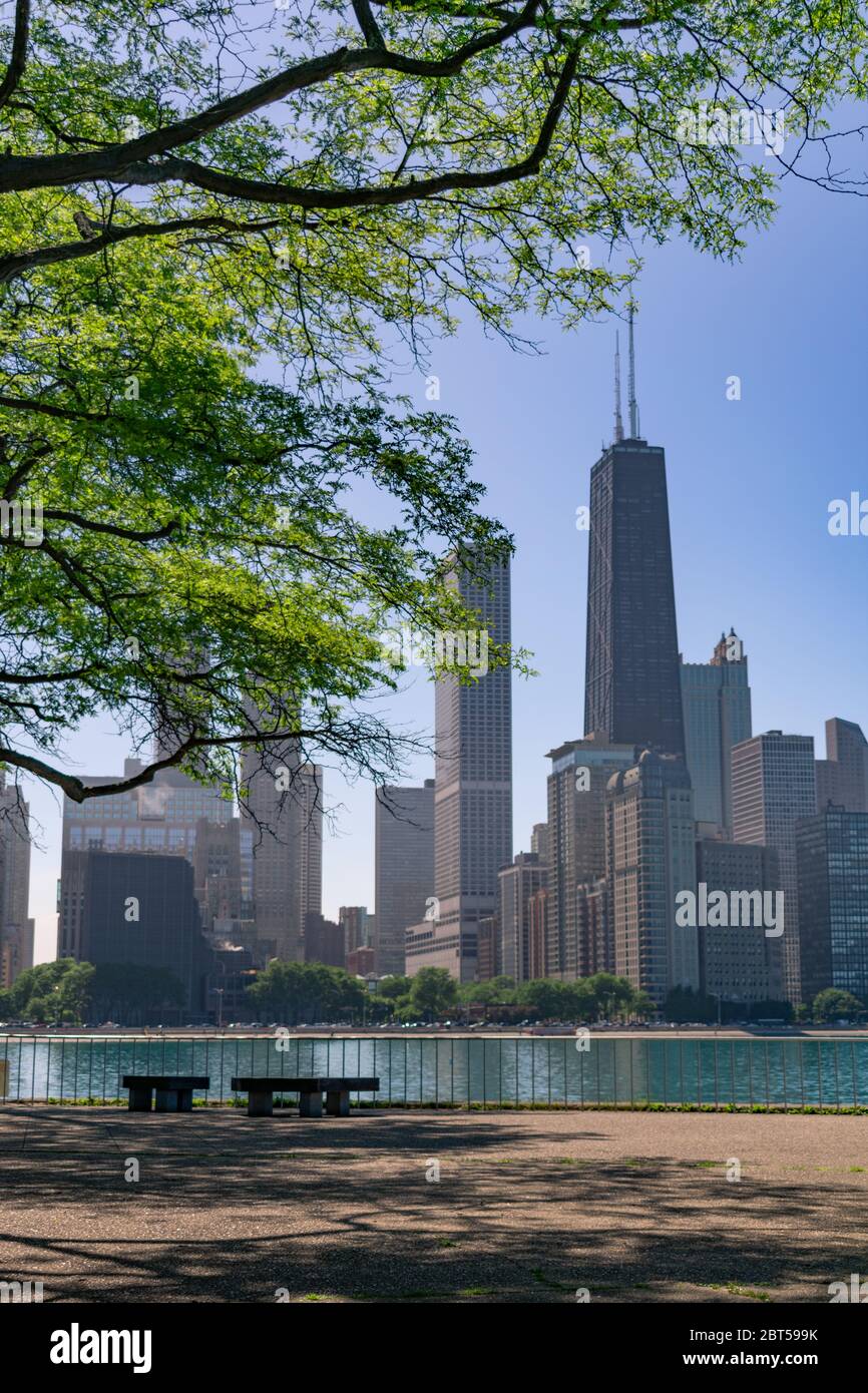 Chicago Skyline eingerahmt von einem Baum bei Milton Lee Olive Park mit Bänken Stockfoto