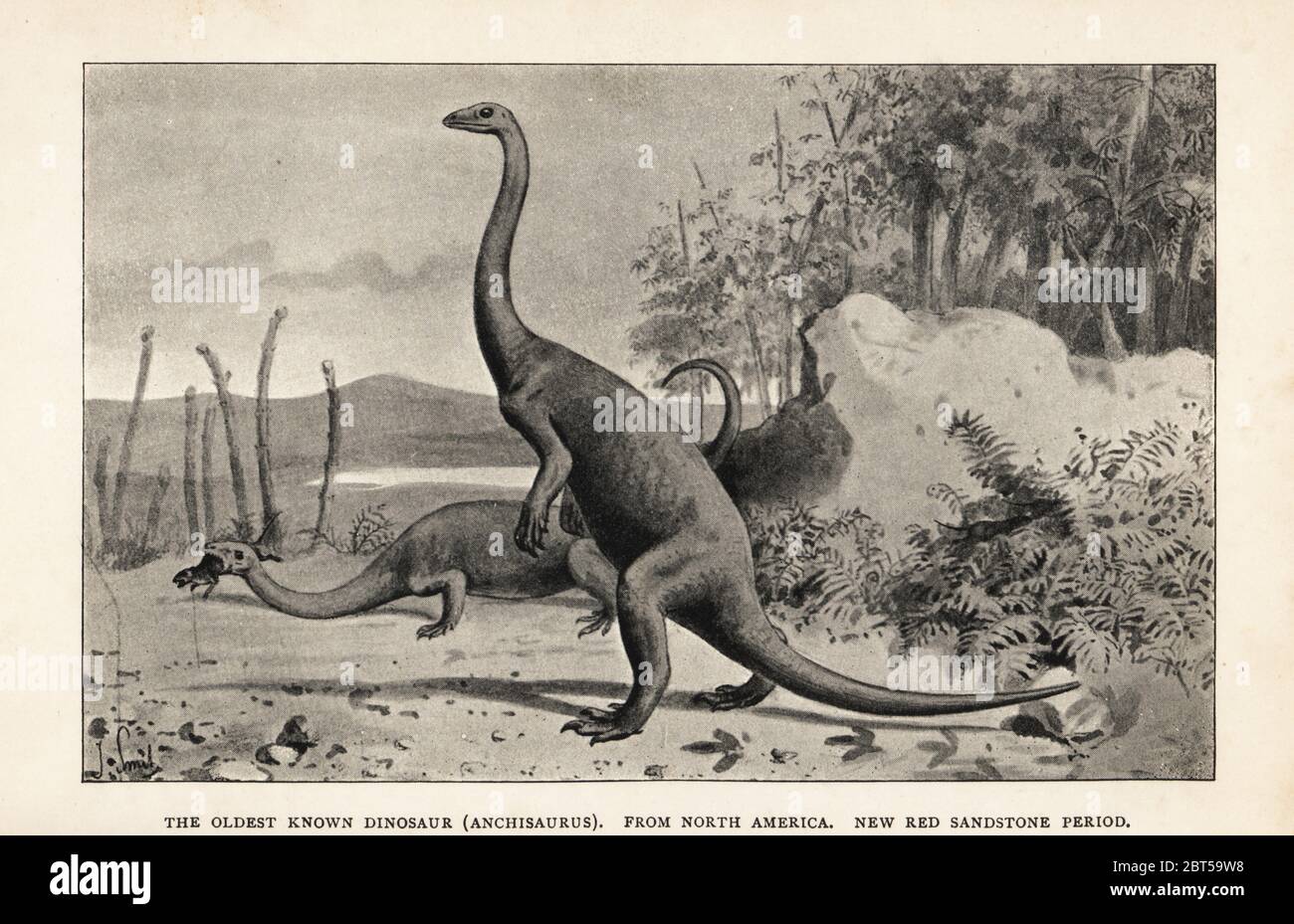 Der älteste bekannte Dinosaurier, Anchisaurus, aus Nordamerika, New Red Sandstone Periode. Druck nach einer Illustration von Joseph Smit von Henry Neville Hutchinson Creatures of Other Days, Popular Studies in Paleontology, Chapman and Hall, London, 1896. Stockfoto