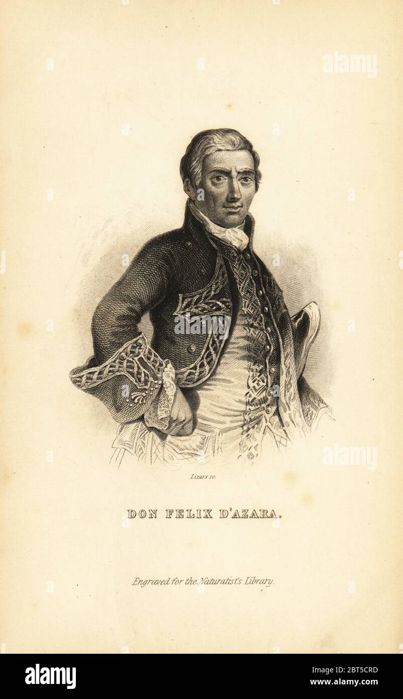 Felix manuel de azara Fotos und Bildmaterial in hoher Auflösung Alamy