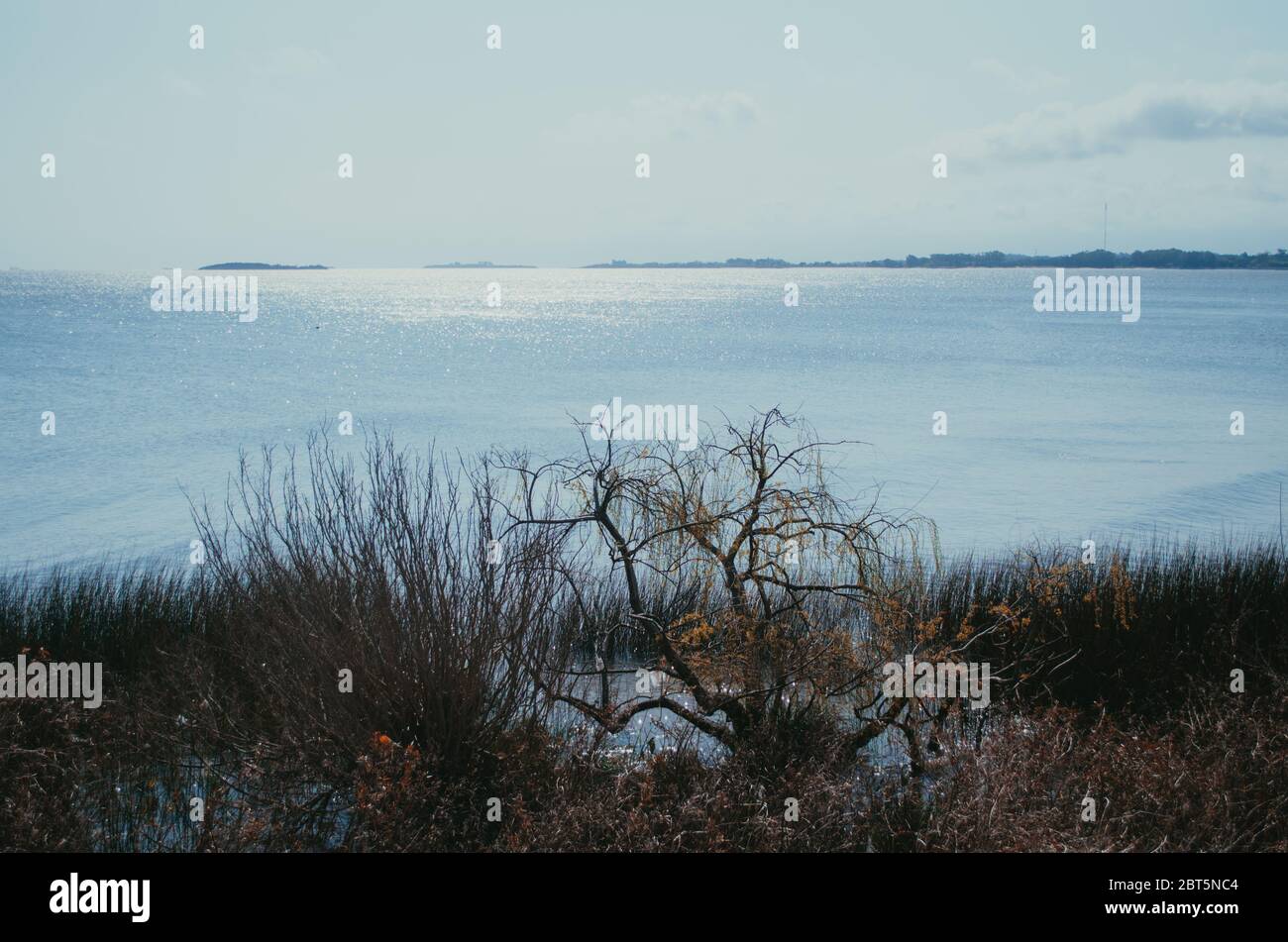 Ein ruhiger Blick über Rio de La Plata in der historischen Stätte Colonia del Sacramento. Stockfoto