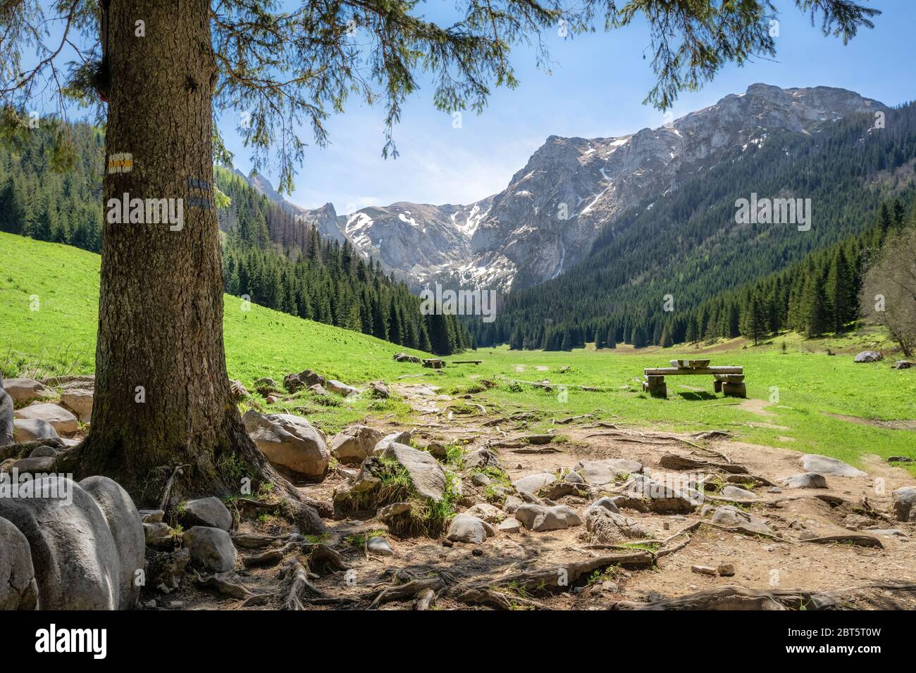 Blick auf die Lichtung im kleinen Wiesental in der Tatra, Polen Stockfoto