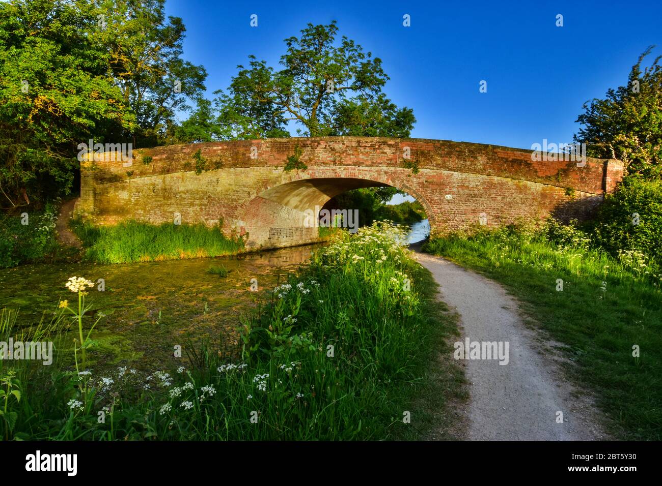 Grantham Canal, Vale of Belvoir Stockfoto