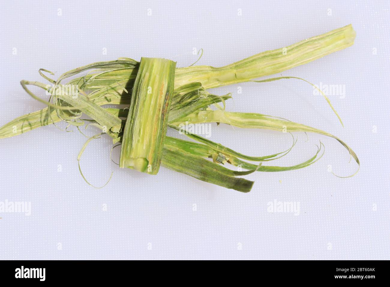 Drumstick Pods oder Moringa Oleifera Poss Gemüse isoliert auf weißem Hintergrund Stockfoto