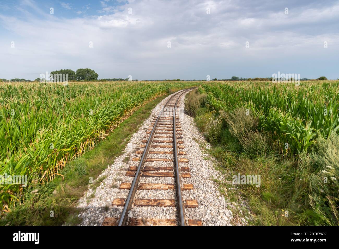 Die Dampfeisenbahn, die zwischen Le Crotoy und Saint Valery sur Somme in Picardie verkehrt Stockfoto