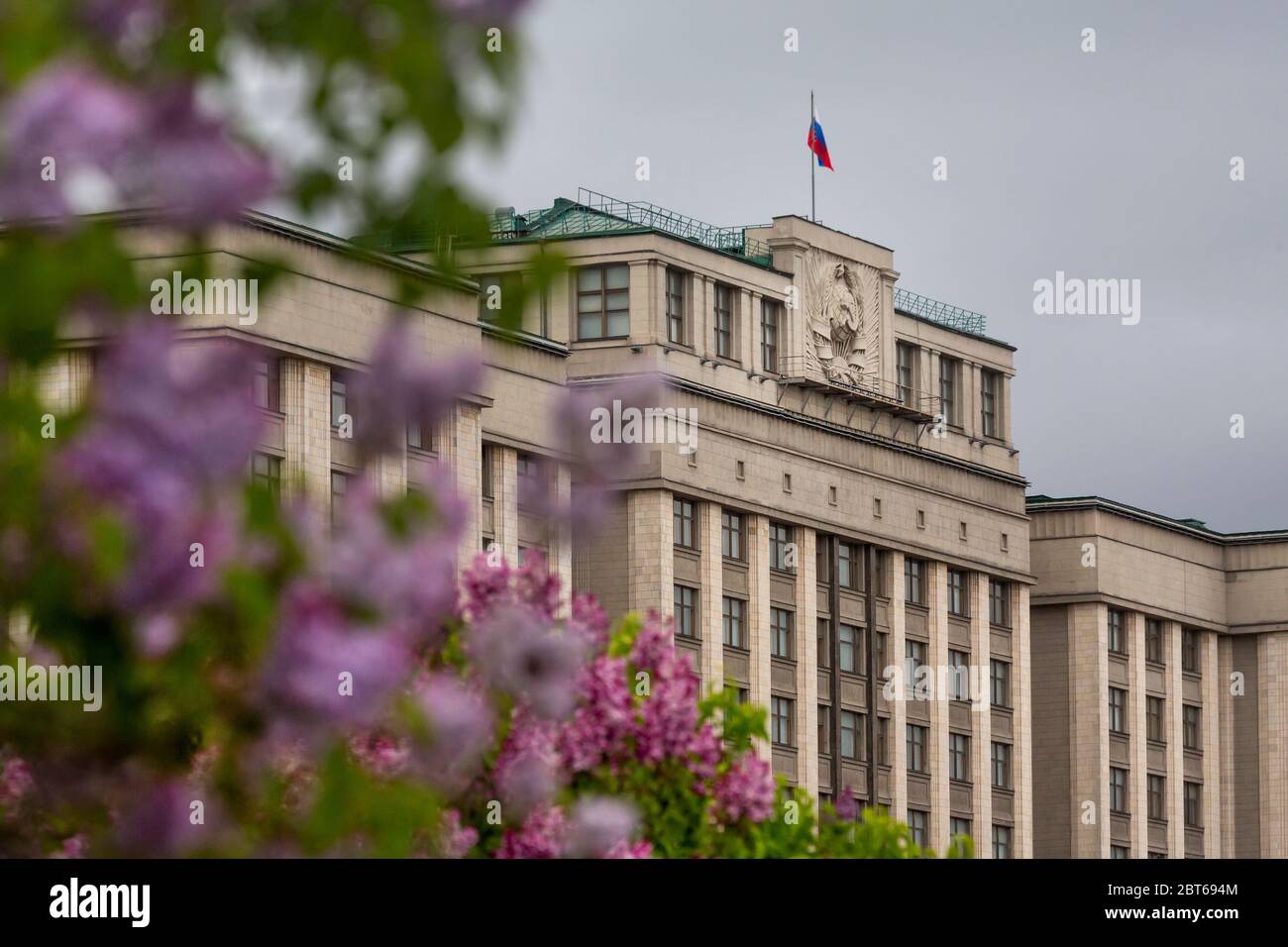 Blick auf die Fassade der Staatsduma der Russischen Föderation vor dem Hintergrund blühender Fliedersträucher in Moskau, Russland Stockfoto