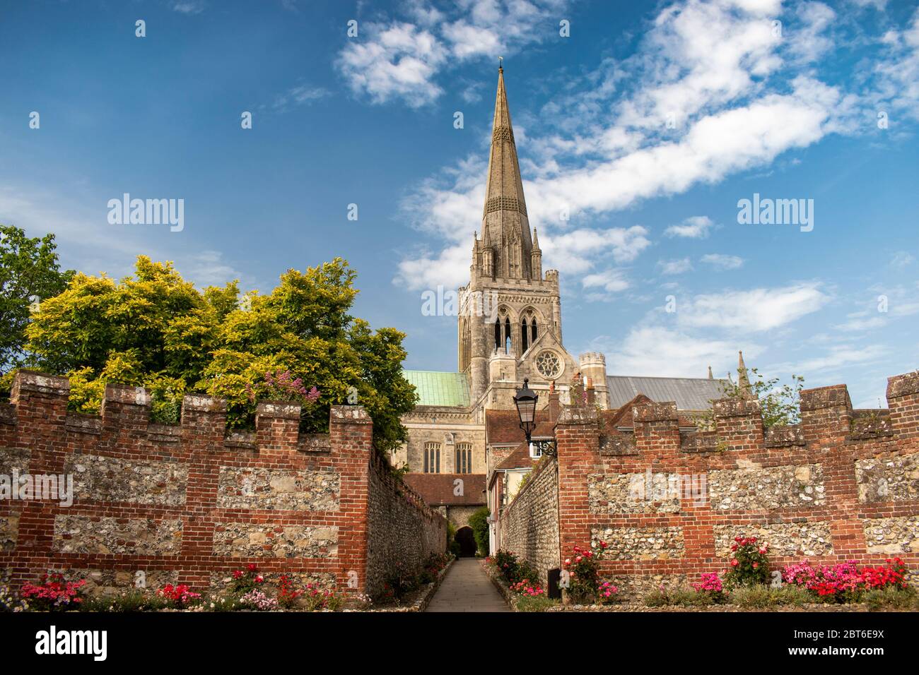 St Richards Walk mit Chichester Cathedral und Spire im Hintergrund auf einem sonnigen und warmen Frühling in England. Stockfoto