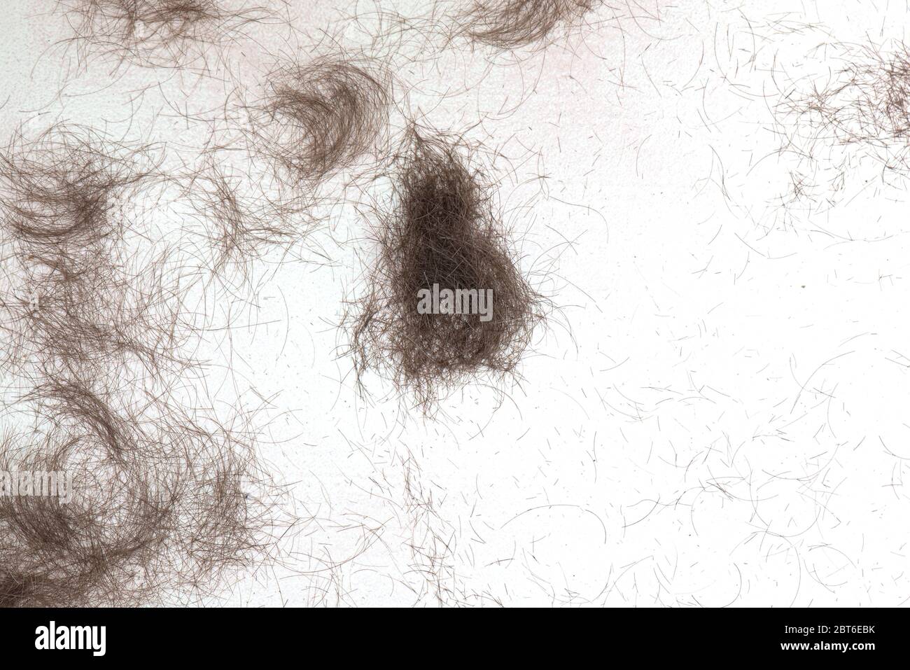 Haare auf weißem Boden im Friseurladen abgeschnitten. Beschnittenes Haar als Hintergrund oder Textur. Stockfoto
