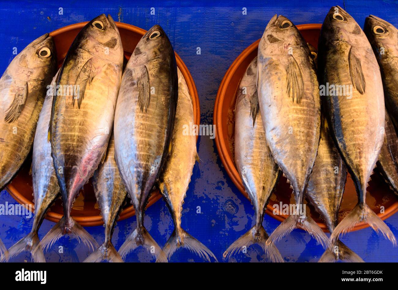 Fisch auf dem traditionellen Markt von Tondano, Sulawesi, Indonesien verkauft. Stockfoto