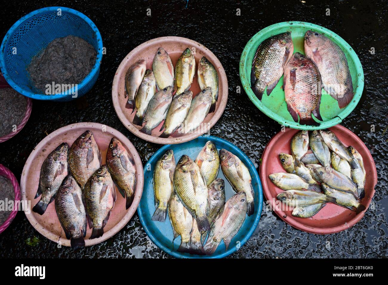 Fisch auf dem traditionellen Markt von Tondano, Sulawesi, Indonesien verkauft. Stockfoto