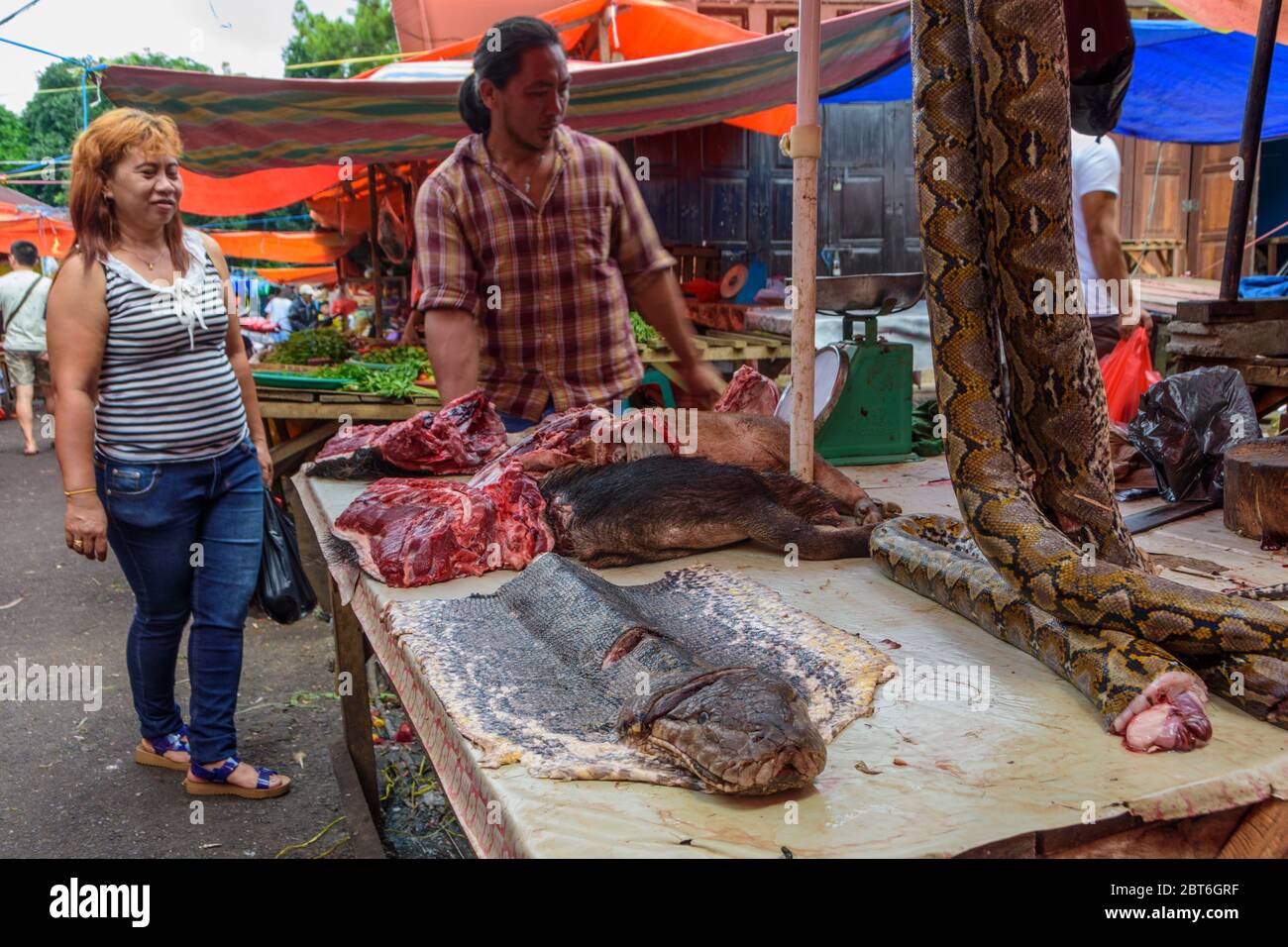 Schlangen und andere Wildtiere werden auf dem traditionellen Markt von Tondano, Sulawesi, Indonesien verkauft. Stockfoto