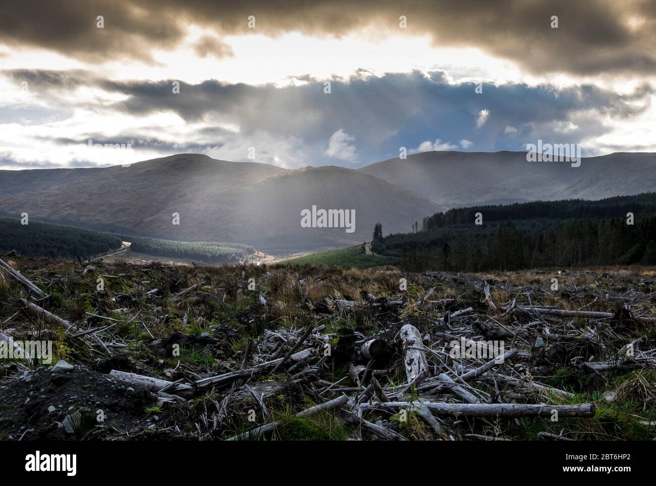 Dramatische Aussicht auf Waldplantage Clearfell, Upland Galloway Stockfoto