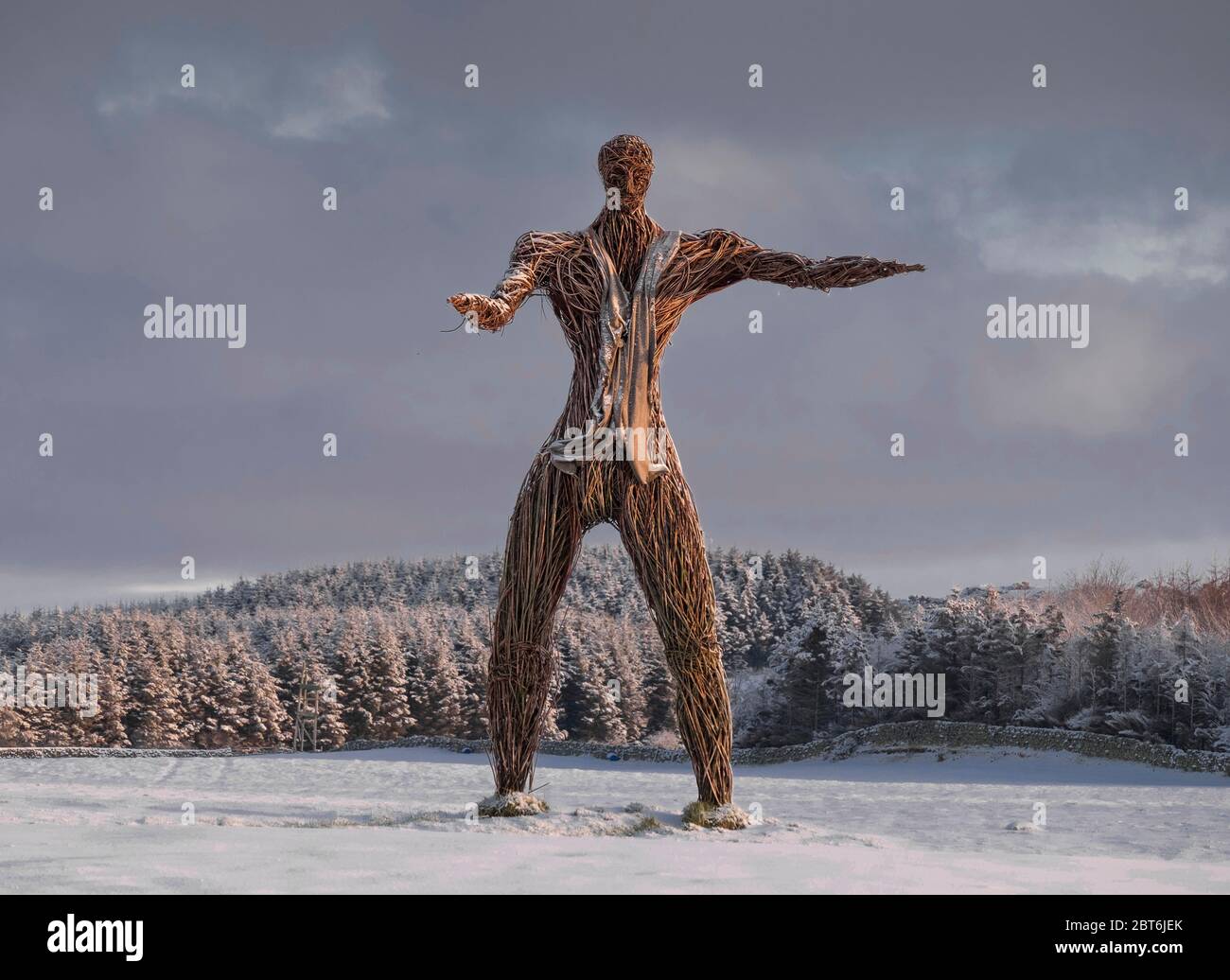 Wickerman Weidenskulptur von Trevor Leat Stockfoto