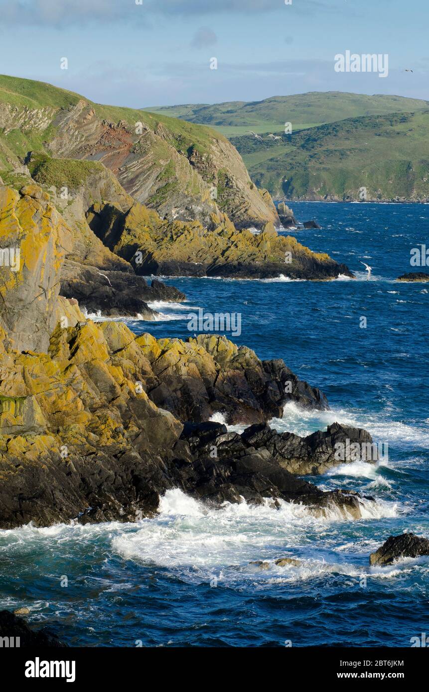 Clanyard Bay Mull of Galloway mit dem Hafen Logan Stockfoto