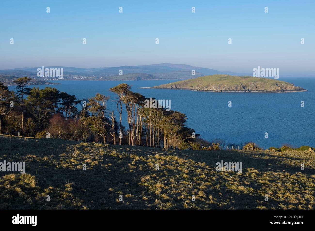 Schotten iPines und Blick auf Hestan Island von Heughs von Balcary Stockfoto