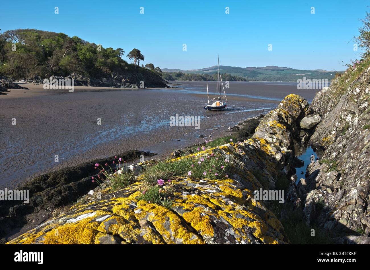 Fluss Nith bei Dumfries mit Trauerweiden im Winter Stockfoto