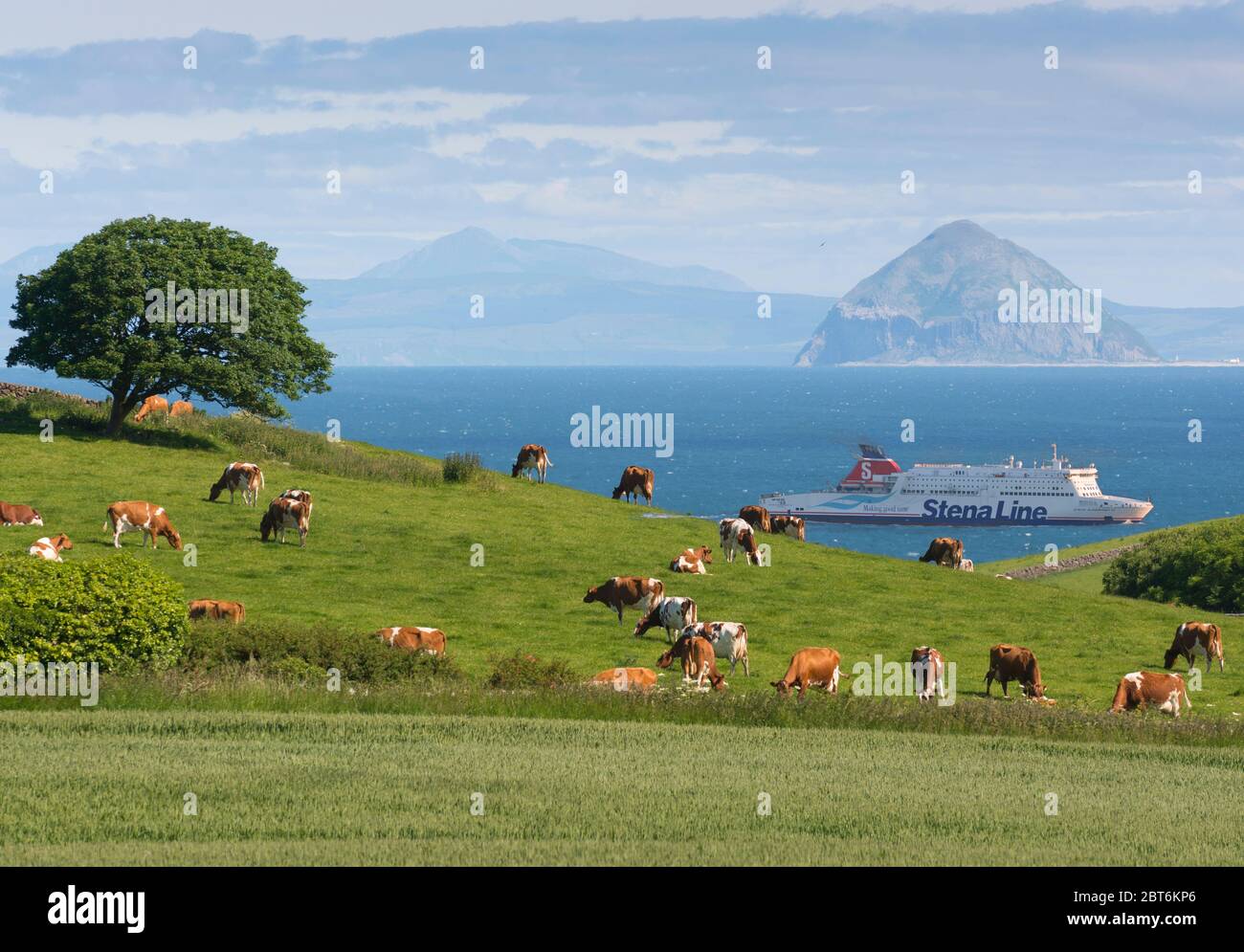 Stena Ferry und Milchwirtschaft, North Rhins of Galloway Stockfoto