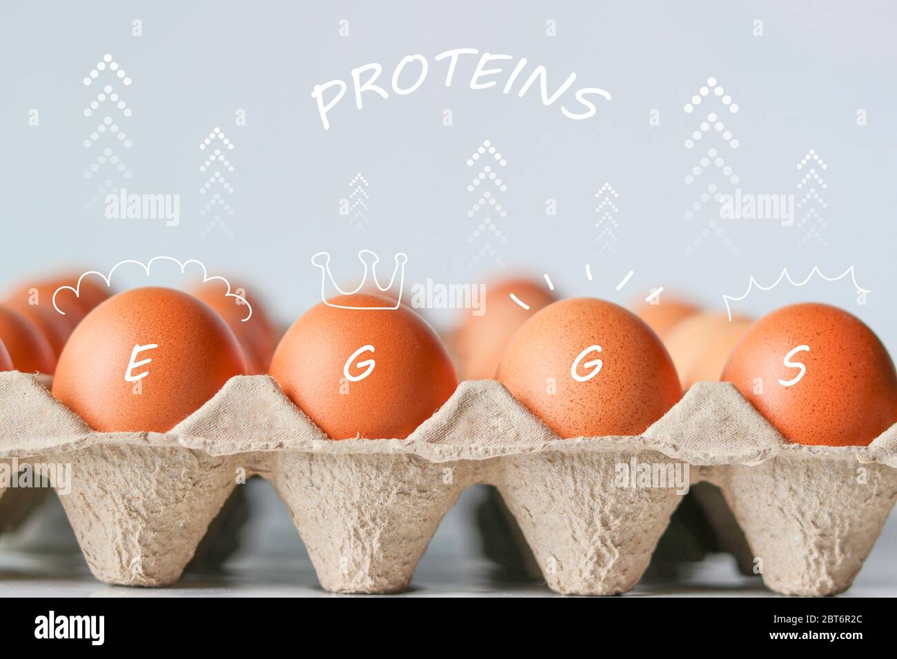 Eier und Pfeile, die den hohen Eiweißwert zeigen. Eier mit Pfeil-Symbol und Protein schwimmend oben. Stockfoto