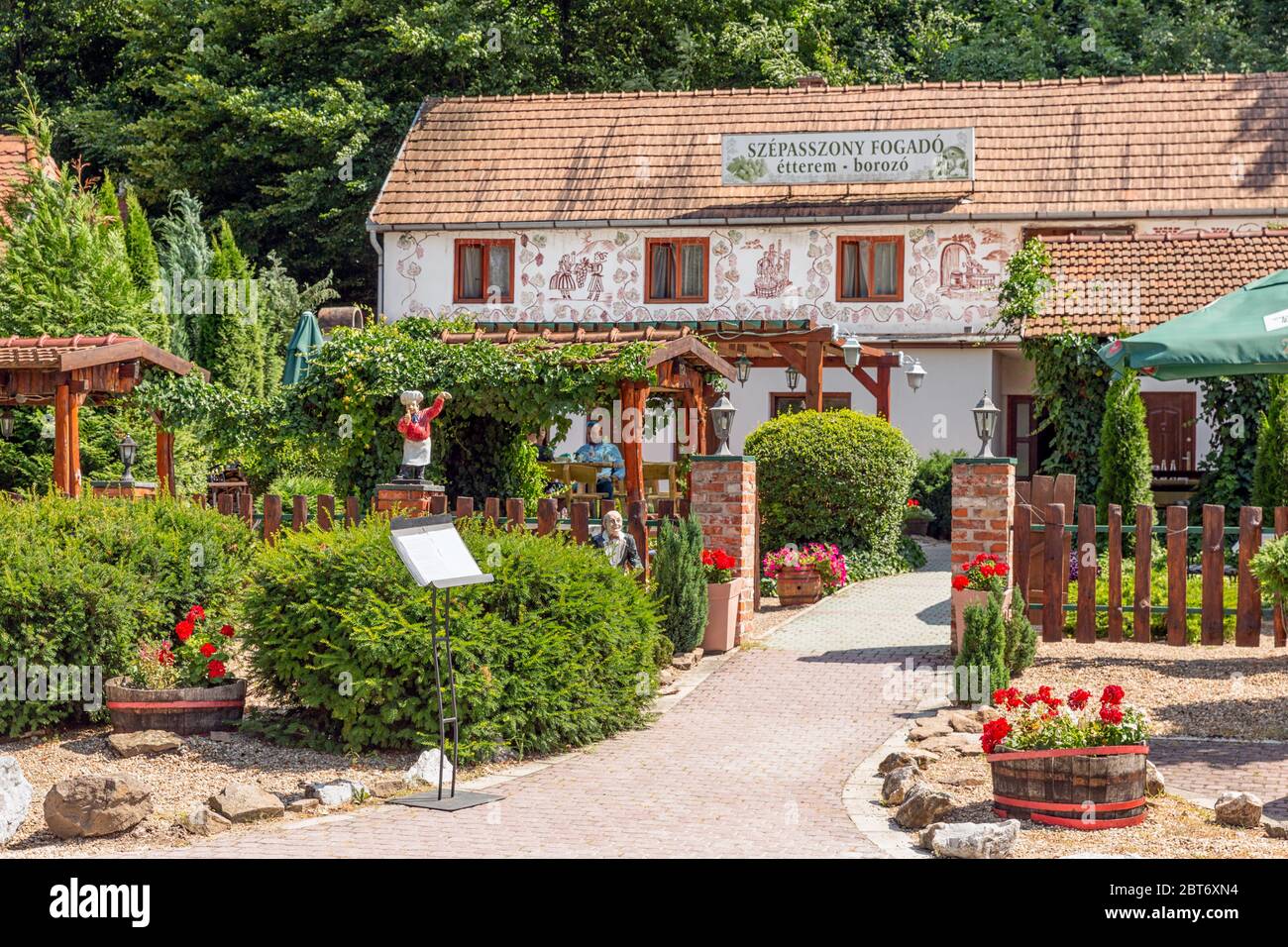 Tal der schönen Frau mit Weinkellern, Eger Ungarn Stockfoto