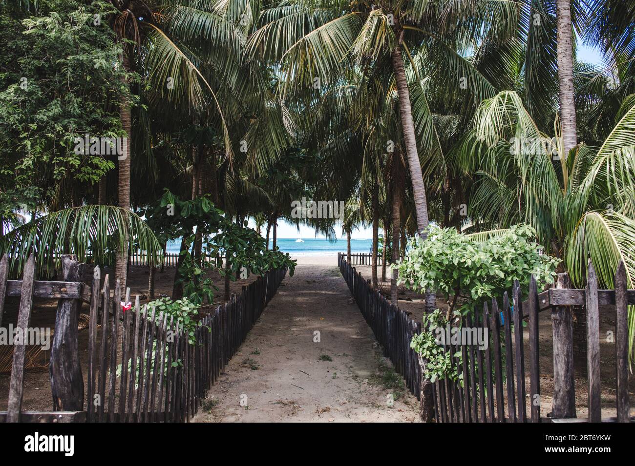 Dschungelpfad gesäumt von exotischen Palmen hinunter zu einem paradiesischen Strand in San Juan del Sur, im Westen Nicaraguas Stockfoto