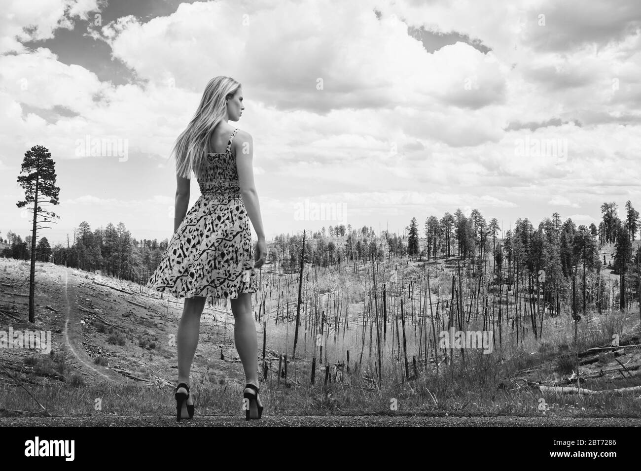 Das hübsche blonde Mädchen blickt über den verbrannten Kaibab Forest in Arizona, USA; sie trägt ein leichtes Sommerkleid, das im Wind geblasen wird. S/W Stockfoto