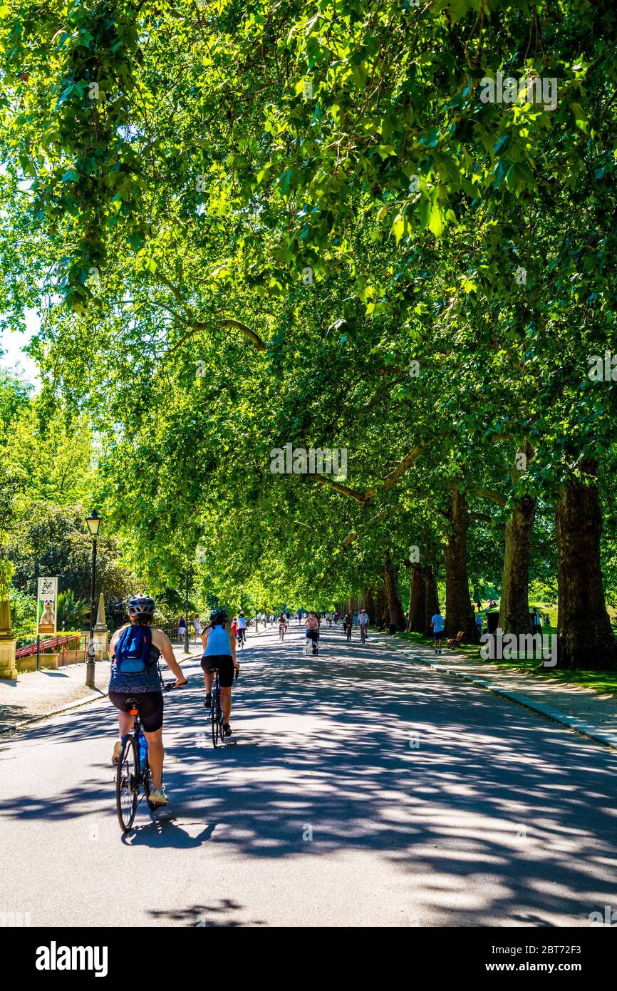 21. Mai 2020, London, UK - Menschen, die an einem heißen, sonnigen Frühlingstag im Battersea Park während der Sperrung der Coronavirus-Pandemie spazieren und Radfahren Stockfoto