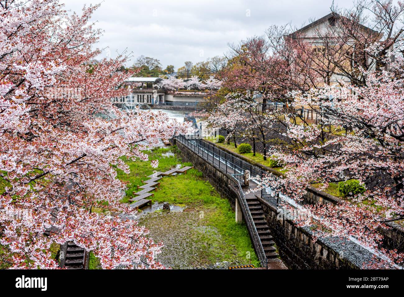 Kyoto Nachbarschaft im Frühjahr mit Kirschblütenblumen und Lake Biwa Flusskanal im April in Japan während regen und Gebäude im Hintergrund hoch Stockfoto