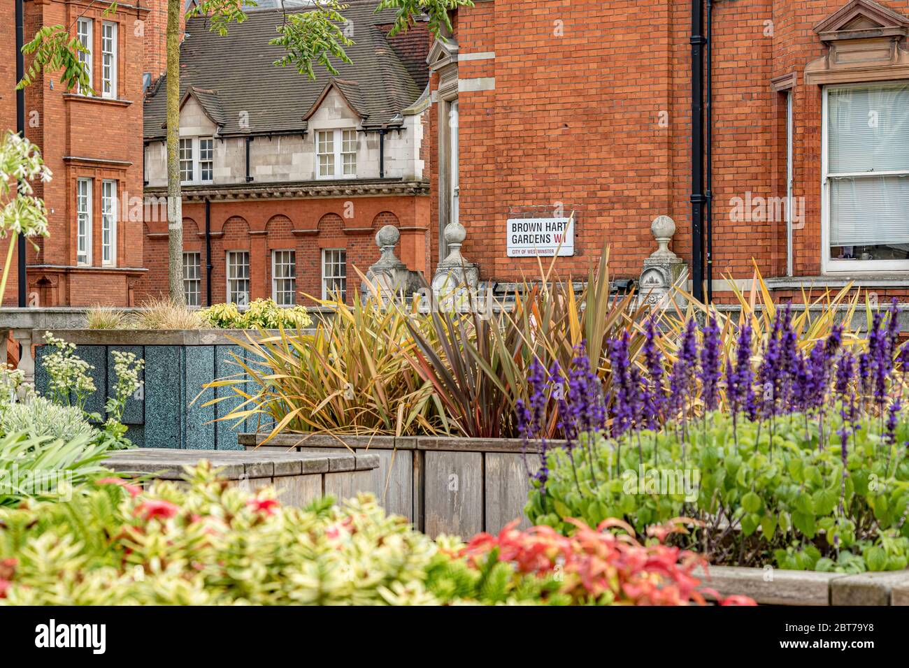 Brown Hart Gardens ist ein erhöhter terrassenförmiger Garten in Mayfair, der 1906 über der alten Duke Street-Stromumspannstation Mayfair, London W1 erbaut wurde Stockfoto