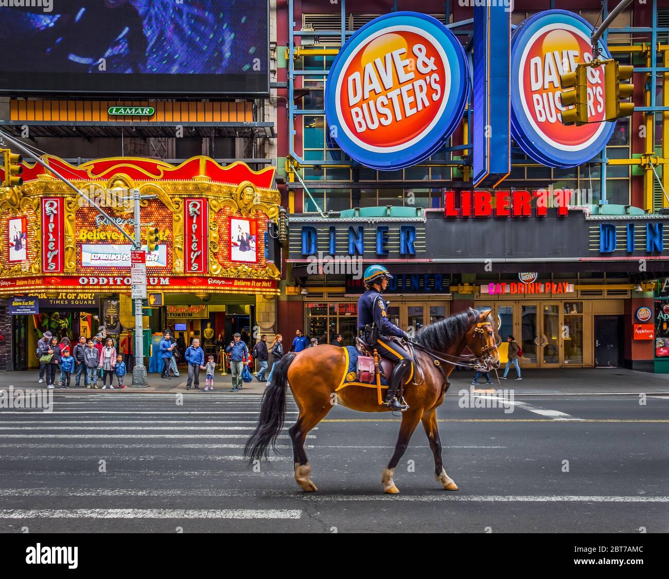 New York City, USA, Mai 2019, eine einzige amerikanische Pferdepolizei, die auf der 42. Straße zwischen der 8. Und 7. Straße läuft Stockfoto