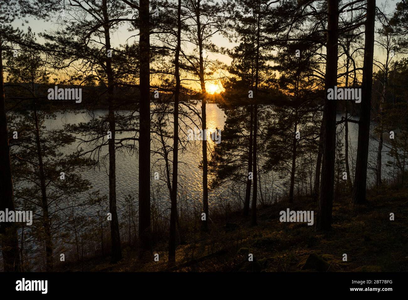 Schöne Natur und Landschaft Foto von Schweden. Schöne, ruhige, friedliche Bild des Frühlings Sonnenuntergang in skandinavischen Outdoor mit See. Stockfoto