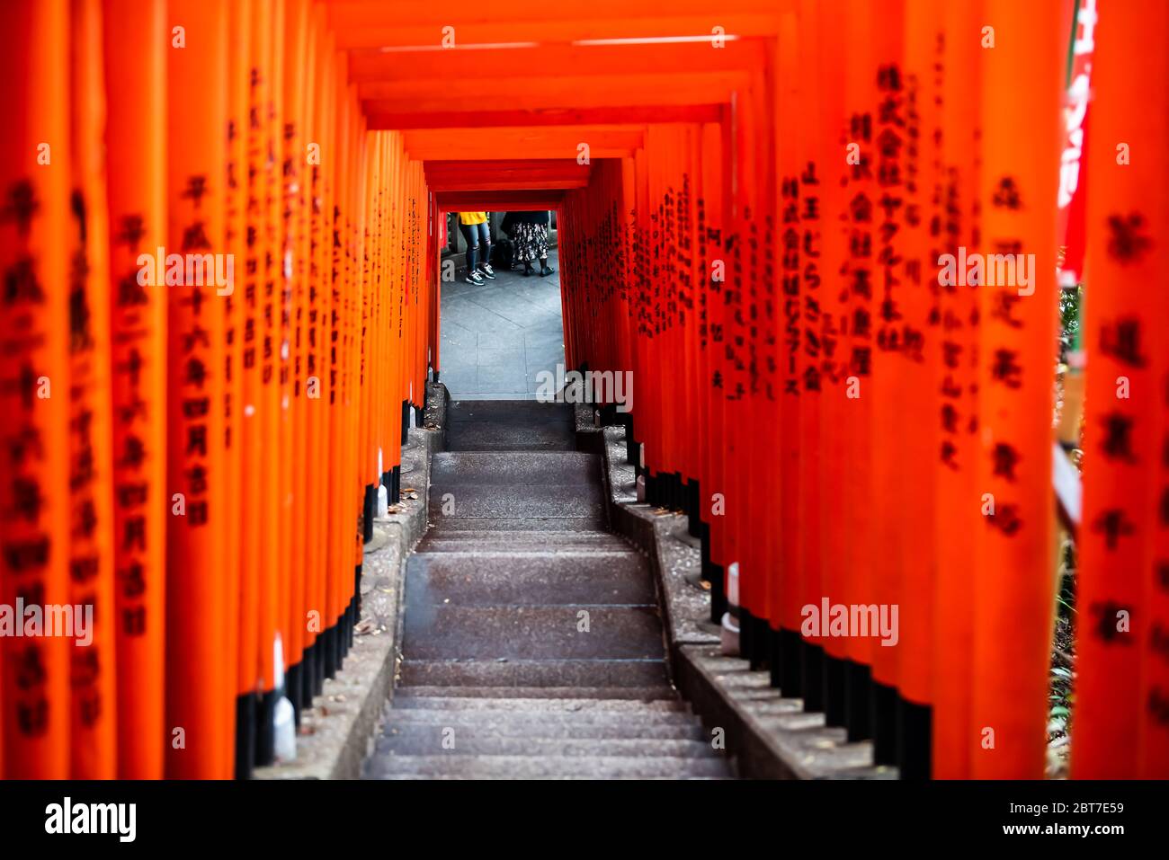 Tokio, Japan - 31. März 2019: HIE Schrein Tor Eingang Treppen Weg hinunter in Akasaka Bezirk mit torii roten Toren von Jinja in Chiyoda Station Stockfoto