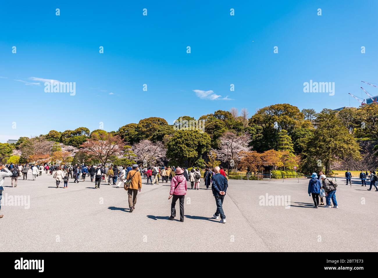 Tokio, Japan - 1. April 2019: Menschenmenge Kaiserpalast Nationalpark mit Touristen zu Fuß Weitwinkel Blick an sonnigen Tag Stockfoto