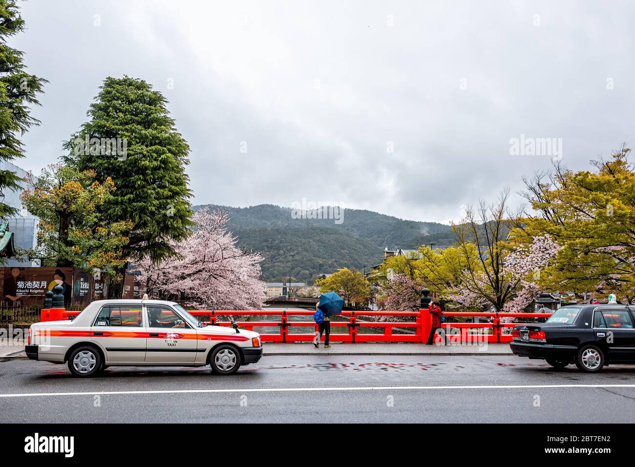 Kyoto, Japan - 10. April 2019: Gion-Viertel mit Kirschblüten-Sakura-Bäumen im Frühjahr mit blühenden Blumen im Garten Park und Shirakawa Fluss mit Stockfoto