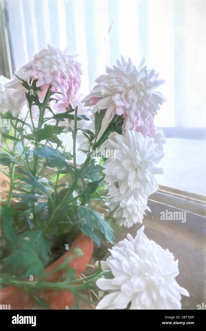 Illustration- Frühling floralen Hintergrund, Design. Kreative Blumen.Web-Banner. Schöne Blaue Natur Tapete. Stockfoto