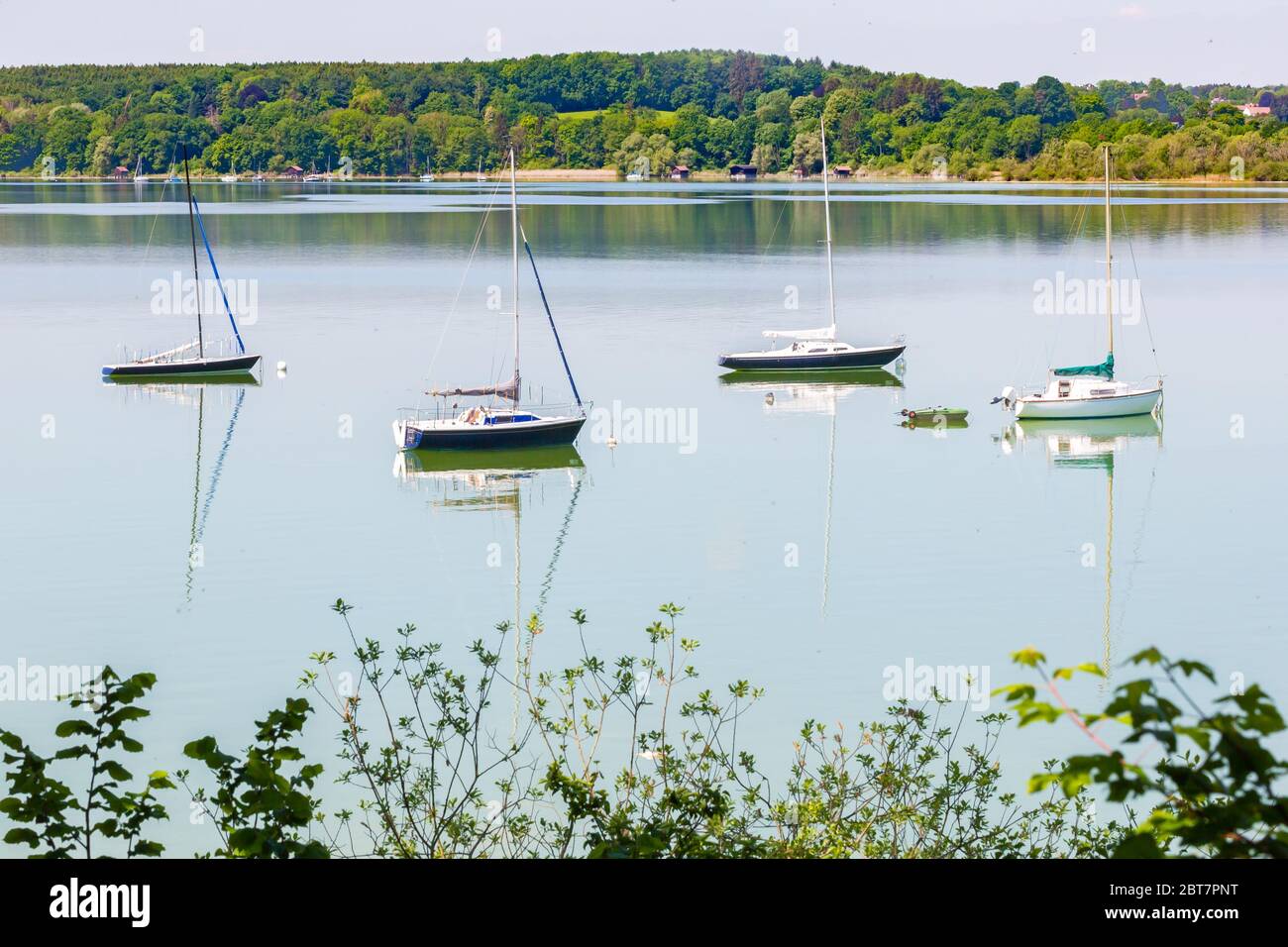 Idyillische Landschaft mit vier Segelbooten. Blätter von Büschen im Vordergrund. Aufgenommen am Ammersee. Beliebtes Touristenziel. Stockfoto