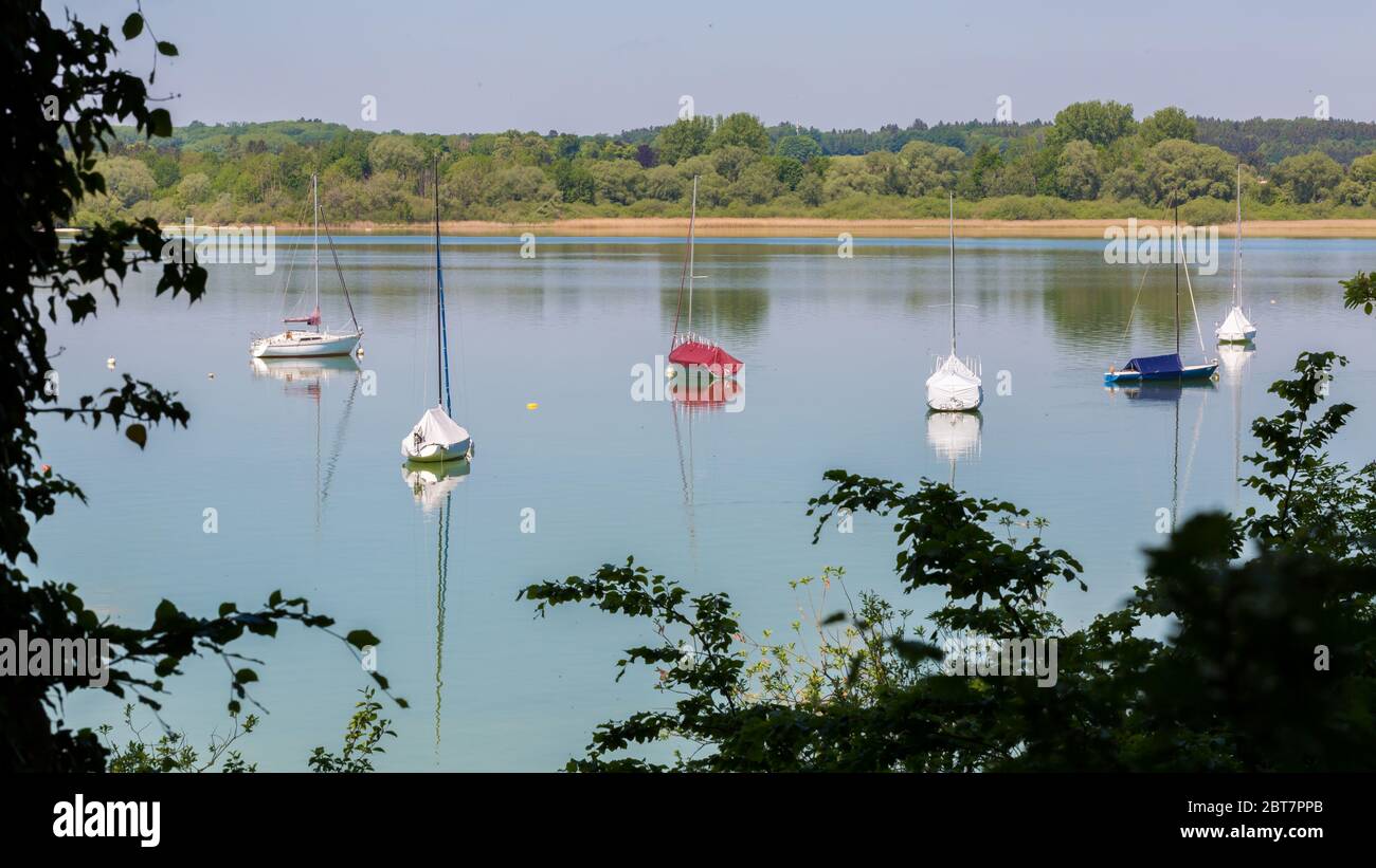 Panorama mit ankenden Segelbooten am Ammersee. Blätter von Bäumen im Vordergrund. Wald auf der anderen Seite des Sees. Stockfoto