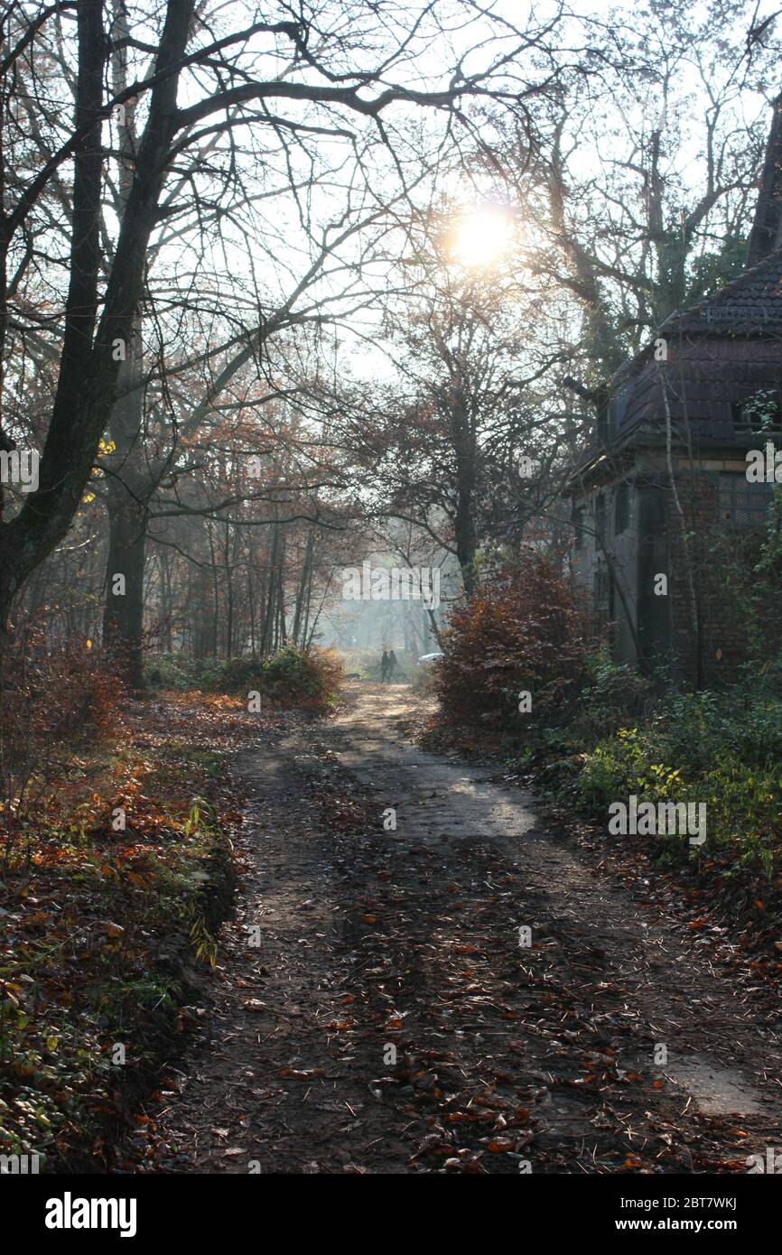 Blasser Sonnenschein im November in nebliger Landschaft mit einem alten Gebäude Stockfoto