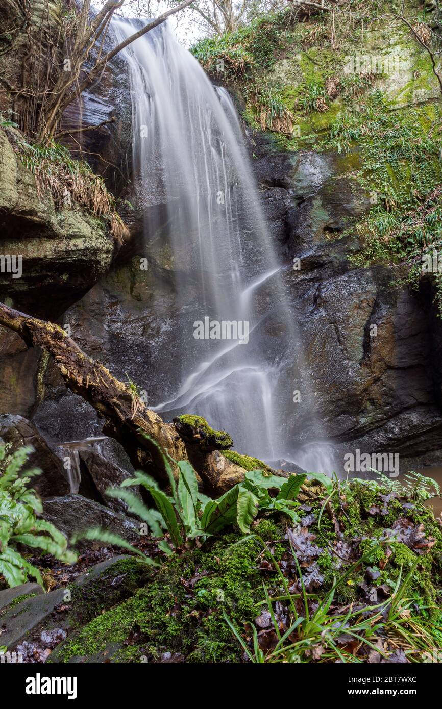 Routenführung Zum Lynn Wasserfall Stockfoto