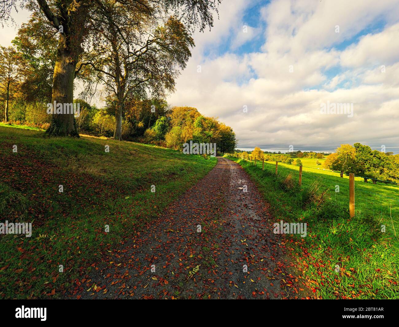 Weitwinkelansicht der Landschaft im Herbst, Nordirland Stockfoto