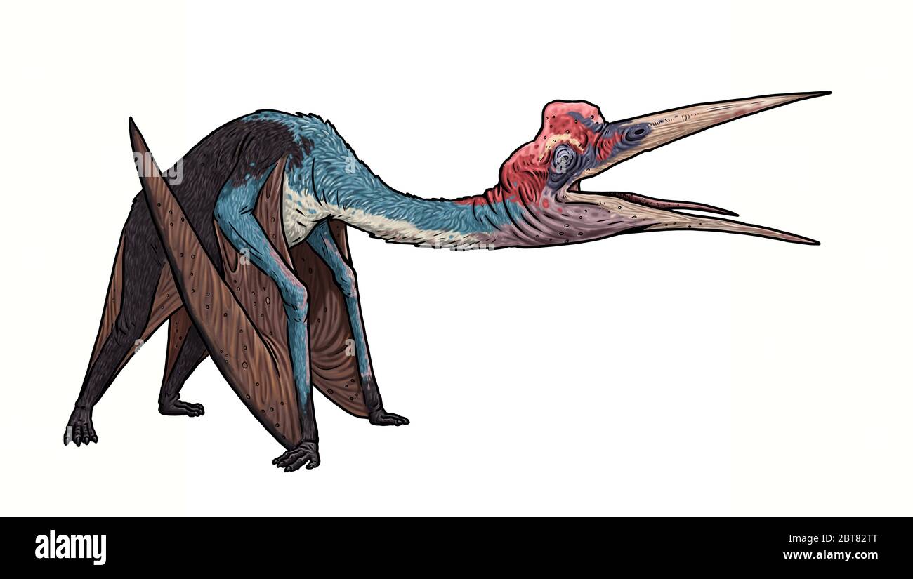 Prähistorische Pterosaurier - Quetzalcoatlus. Fliegende Reptilien aus der jurazeit. Stockfoto