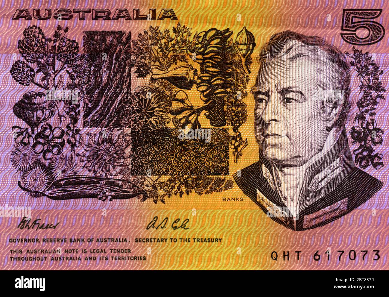 Detail der alten australischen Banknote im Wert von 5 Dollar mit dem Botaniker Sir Joseph Banks Stockfoto